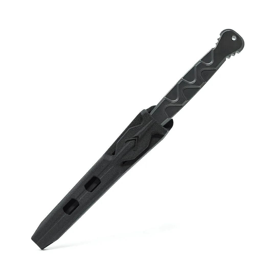 Dynamis Alliance CFH-X