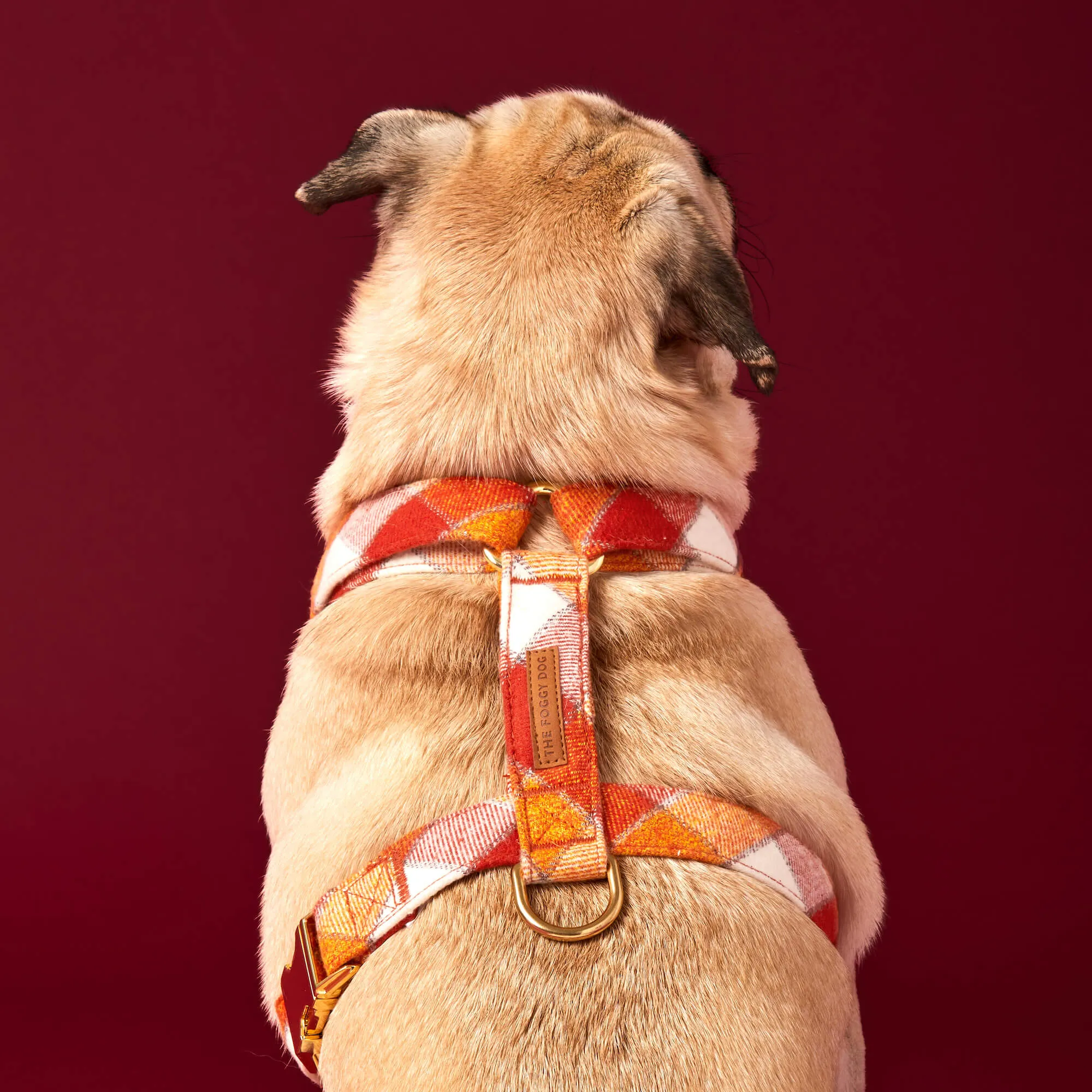 Pumpkin Spice Plaid Flannel Dog Harness