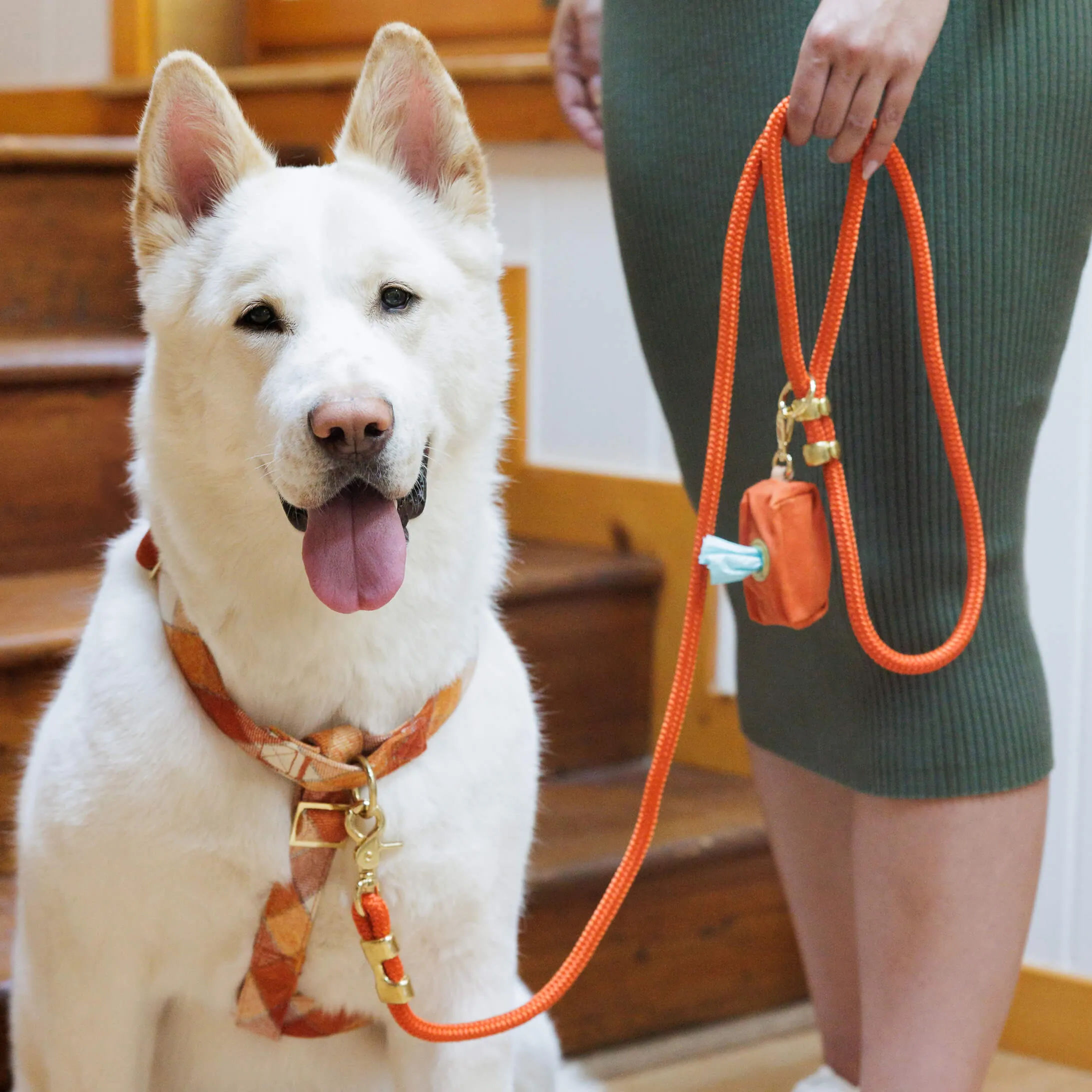 Pumpkin Spice Plaid Flannel Dog Harness