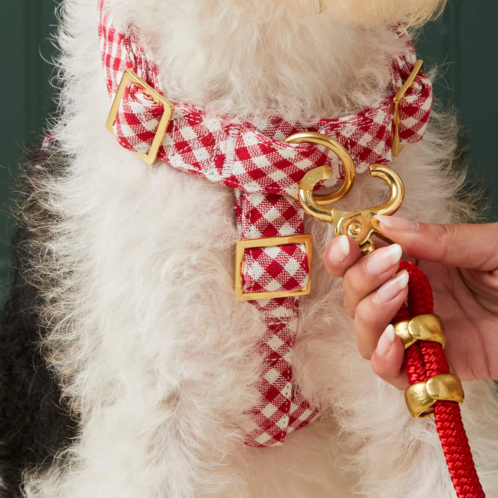 Red Gingham Dog Harness