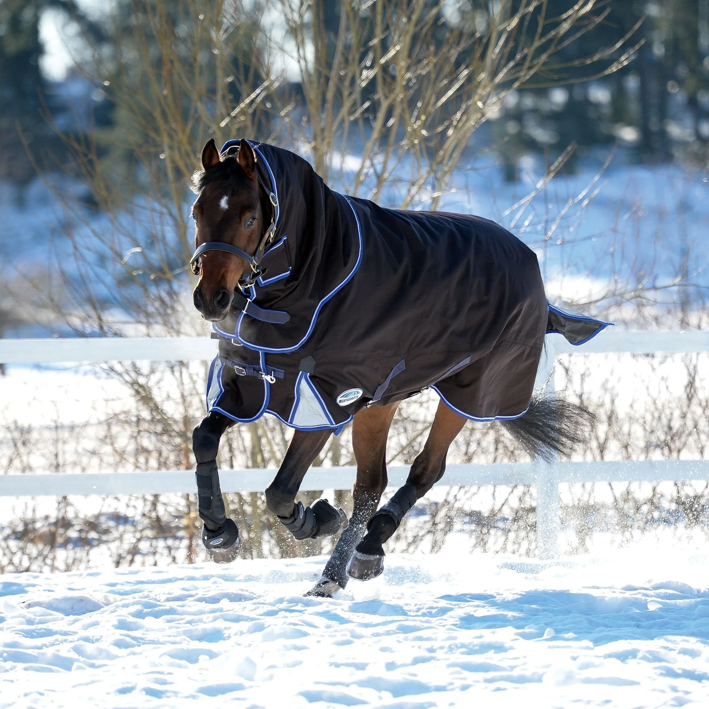 Weatherbeeta ComfiTec Ultra Cozi Heavyweight Detach-a-neck